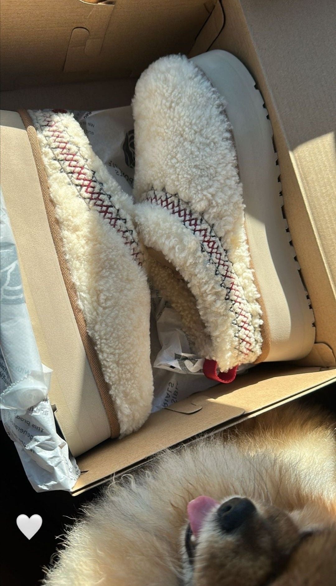 Ugg Tazz Platform Slippers sheep - Sneakers Club EU | Authentic Sneakers Online Nike, Adidas, Jordan & More