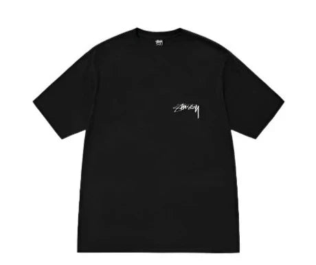Stussy T-shirt Arachnid Pigment